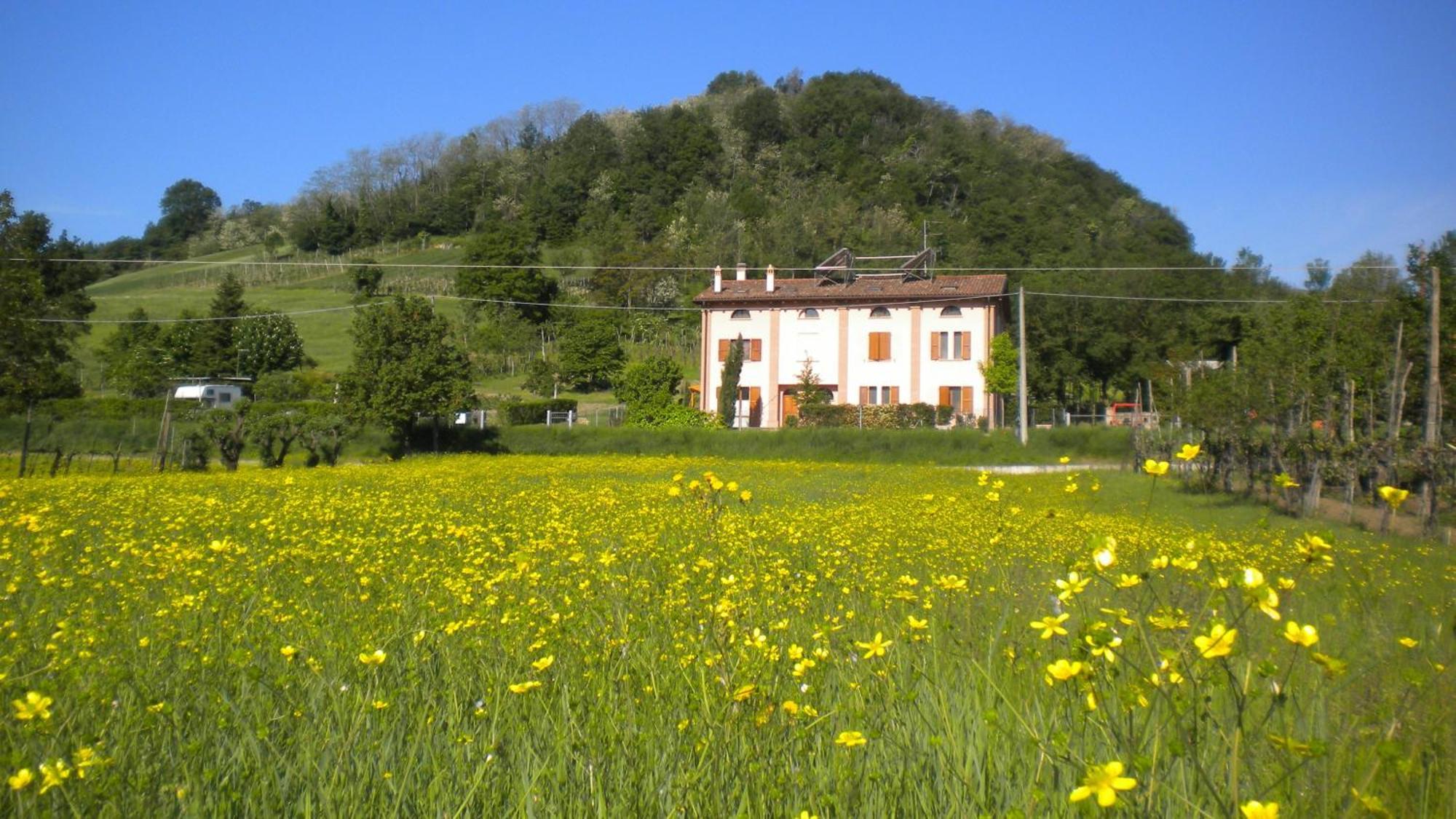 Agriturismo Il Cavicchio Pianoro Extérieur photo