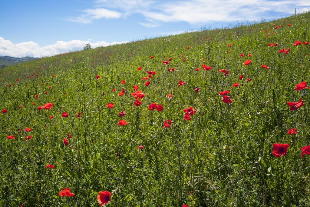 Agriturismo Il Cavicchio Pianoro Extérieur photo